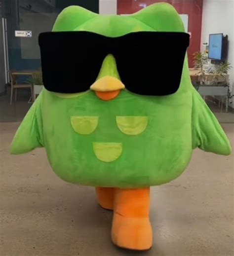 Создать мем "сова дуолинго, duolingo owl, дуолинго сова убийца ...