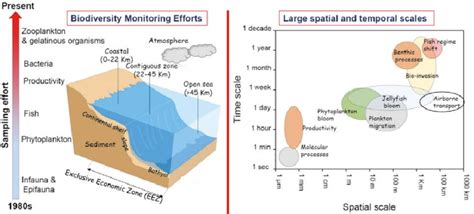 The Scales Of Spatial And Temporal Trends And The Evolution Of