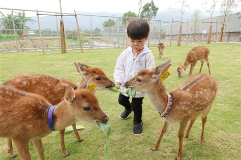 張美阿嬤農場 首頁