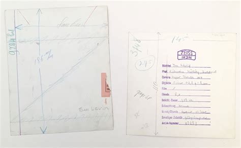 Sam Lévin Nude Study circa Circa MutualArt