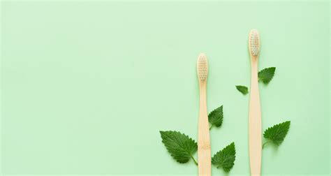 Brosse à dents en bambou Quels sont ses avantages