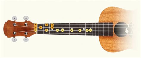 Every Baritone Ukulele Scale You Can Think Off UkuTabs