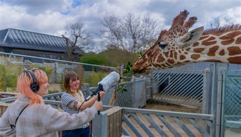 BSc Hons Wildlife Ecology And Conservation Science University Of