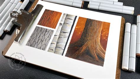 Tips for Drawing Tree Trunk Bark Textures - Sandy Allnock