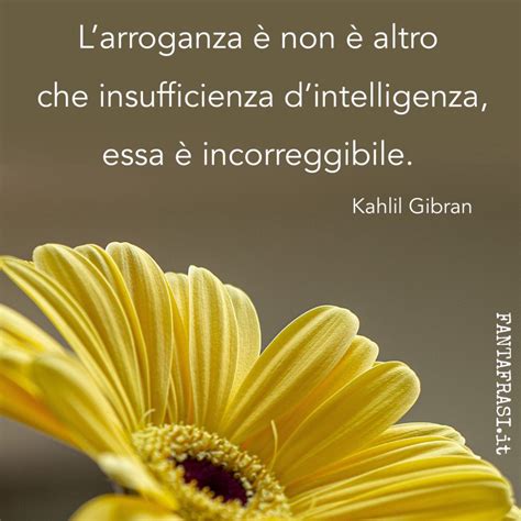 Frasi Sull Arroganza FANTAFRASI It