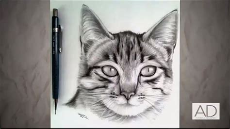 Gatos Para Dibujar Realistas 31++ Images Result | Koltelo