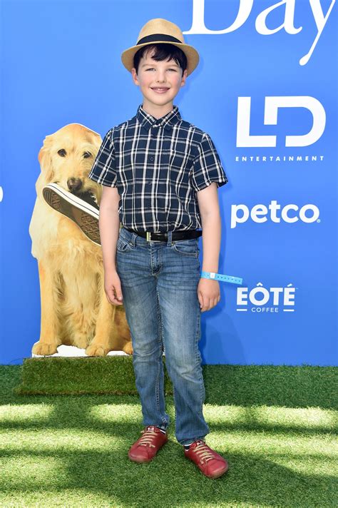 Iain Armitage Net Worth - Wiki, Age, Weight and Height, Relationships