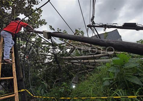 POHON TUMBANG PUTUSKAN ALIRAN LISTRIK ANTARA Foto