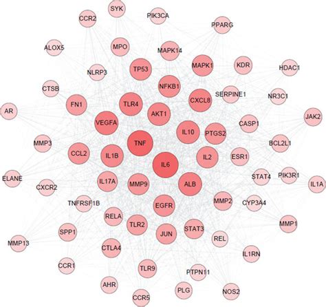 Network Pharmacology Analysis Of The Shm Formula A Distribution Of Download Scientific