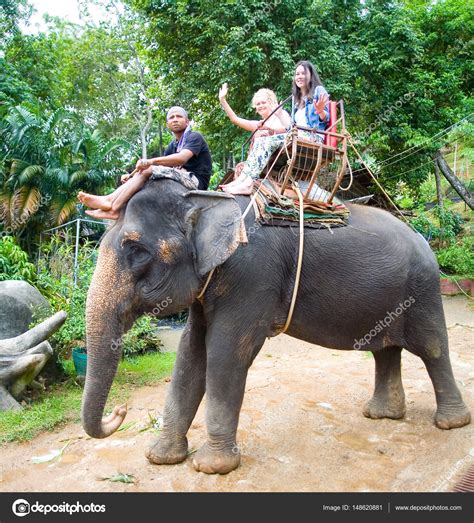 Ride on an Indian elephant. – Stock Editorial Photo © 75Alex75 #148620881