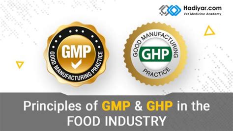 اصول و مبانی GMP و GHP در صنایع غذایی هادیار آکادمی