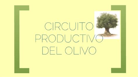 Circuito Productivo Del Olivo By Belen Amarilla On Prezi