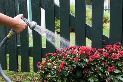 Fall Watering Guide For Gardens And Yards Tillys Nest