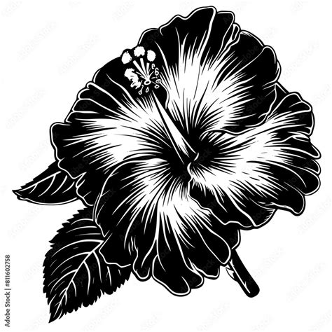 Flower Svg Hibiscus Svg Tropical Flower Svg Hawaiian Flower Svg