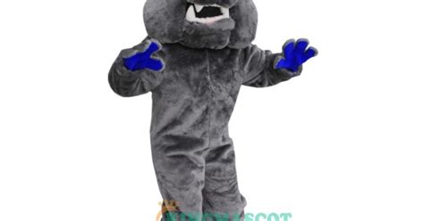 High School Bulldog Uniform, High School Bulldog Mascot Costume