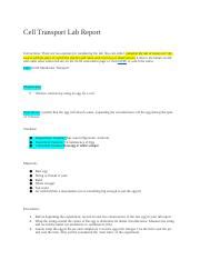 02 04 Membrane Transport Lab Report Docx Cell Transport Lab Report