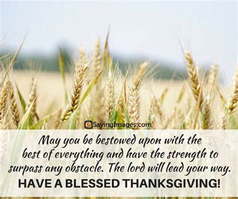 45 Thanksgiving Wishes and Greetings for Family and Friends