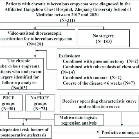 Flow Chart Of Patients With Chronic Tuberculous Empyema Enrolled From