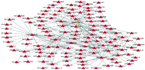 Disease-pathway heterogeneous network. | Download Scientific Diagram