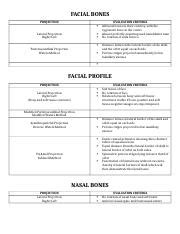 Facial Bones Evaluation Criteria Copy Docx Facial Bones Projection