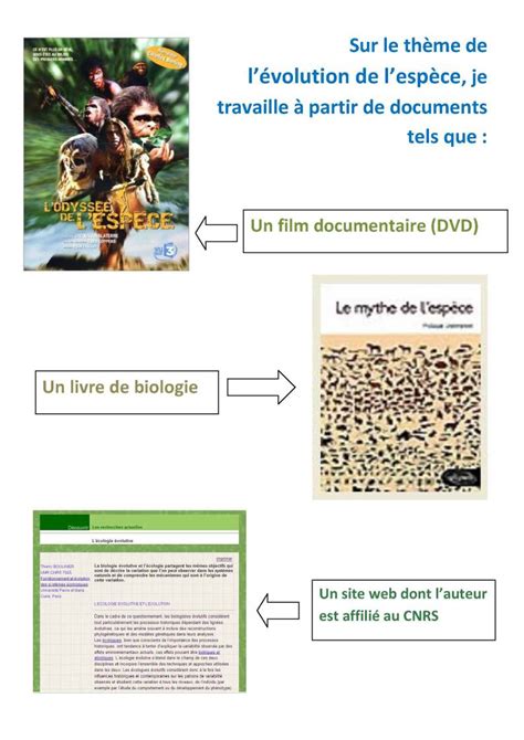 Identifier Les Types De Documents Passeport Documentaire Initiation Glt