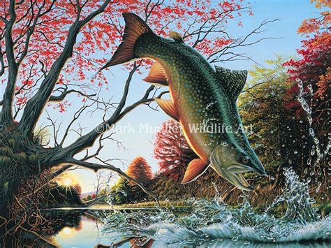 Brook Trout Painting By Wildlife Artist Mark Mueller