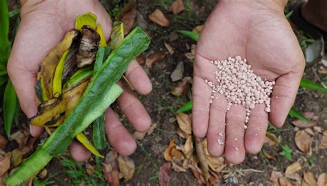 Why is inorganic fertilizer so bad for the climate? | One Earth