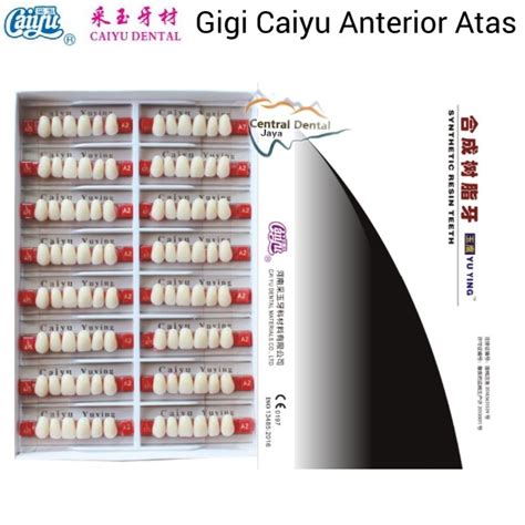 Jual Gigi Palsu Caiyu Anterior Atas Gigi Depan Atas Gigi Akrilik