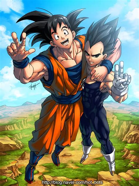 Dragon Ball Z Goku Vegeta Brothers The Dao Of Dragon Ball The Dao