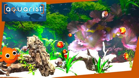 Fische Erfreuen Unsere Besucher Aquarist Deutsch 8 2023 YouTube