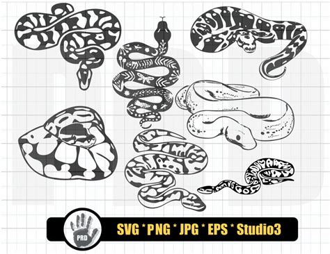 Ball Python Svg Design Bundle Ball Python Ball Pythons Svg Etsy