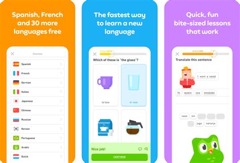 Best Apps for Learning Languages in 2021