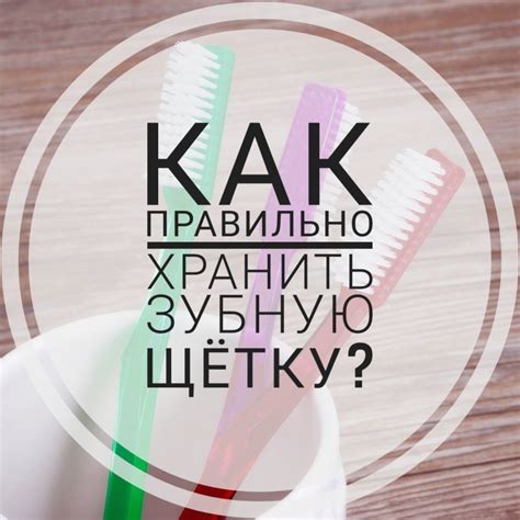 КАК ПРАВИЛЬНО ХРАНИТЬ ЗУБНУЮ ЩЕТКУ? Зубные щётки следует располагать ...