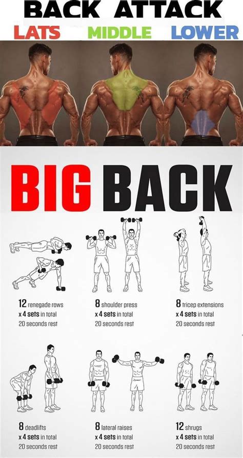 Build Thick and Wide Back With This Workout Program | Shoulder workout, Home workout men, Abs ...