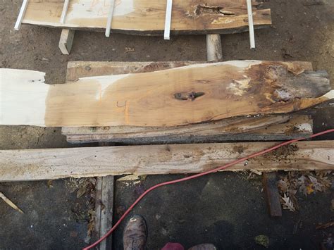 Black Locust Slabs — The Mbc Woodshop Inc