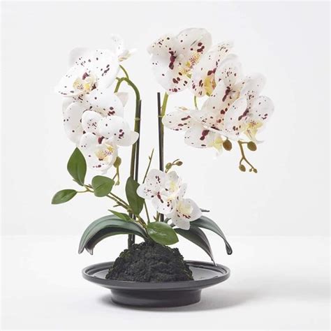 Homescapes Orchid E Artificielle Blanche Dans Uol En C Ramique Noir