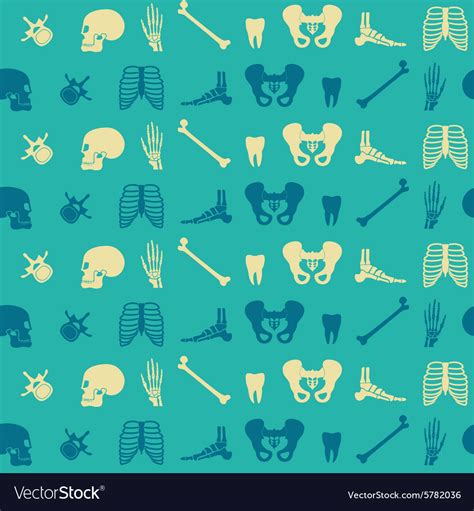 Seamless Background With Human Bones Royalty Free Vector