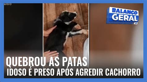 Meu Cachorro Quebrou A Pata Nao Tenho Dinheiro - 9
