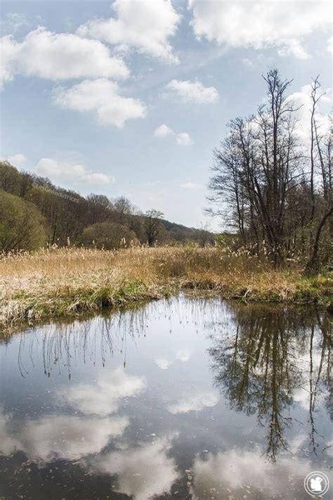 Que Faire En Vall E De Chevreuse Un Week End Nature Proche De Paris