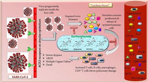 Mechanism Of Action Of Corticosteroids In Treatment Of Covid 19