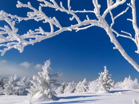 🔥 [50+] Microsoft Winter Desktop Wallpapers | WallpaperSafari