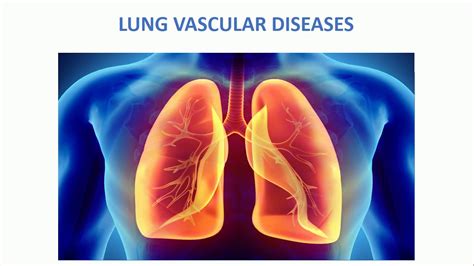 PULMONARY VASCULAR DISEASES SESSION 01 YouTube