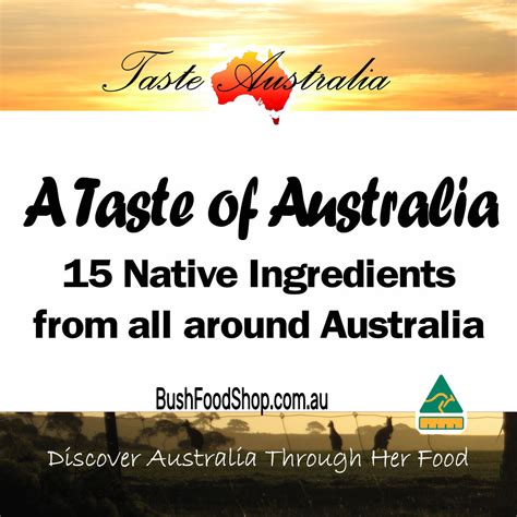 Australian Bush Spices Collection Taste Australia Bush Food Shop