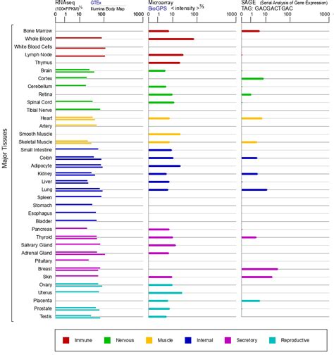 IFI16 Gene - GeneCards | IF16 Protein | IF16 Antibody 