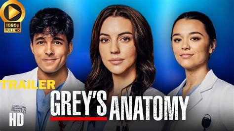 Grey’s Anatomy Season 20 Story Details. What Will Happen In The Next