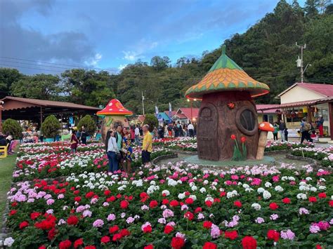 La Feria De Las Flores Y Del Caf Se Realizar A Partir Del Jueves