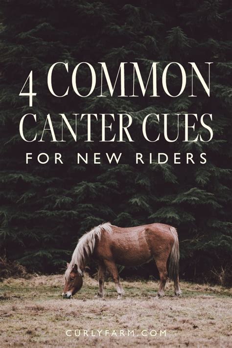 Riding a Horse's Canter: Beginner's Guide | LearningHorses.com