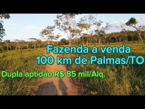 Fazenda A Venda No Tocantins A Km De Palmas To Agro Fazenda Lavoura