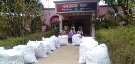 Over Seven Quintals Of Ganja Seized In Kandhamal Two Held