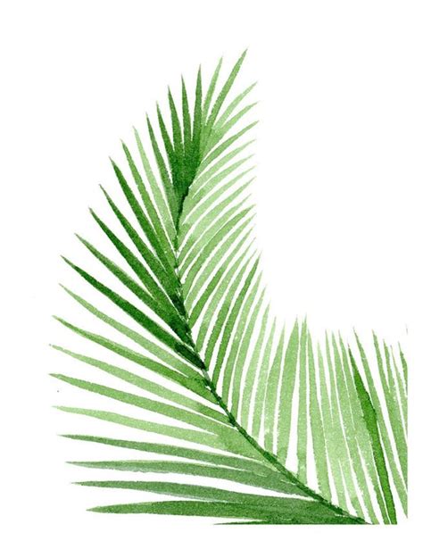 Palm Leaves Art Prints Set Of Two Wall Decor Watercolor Etsy Palm